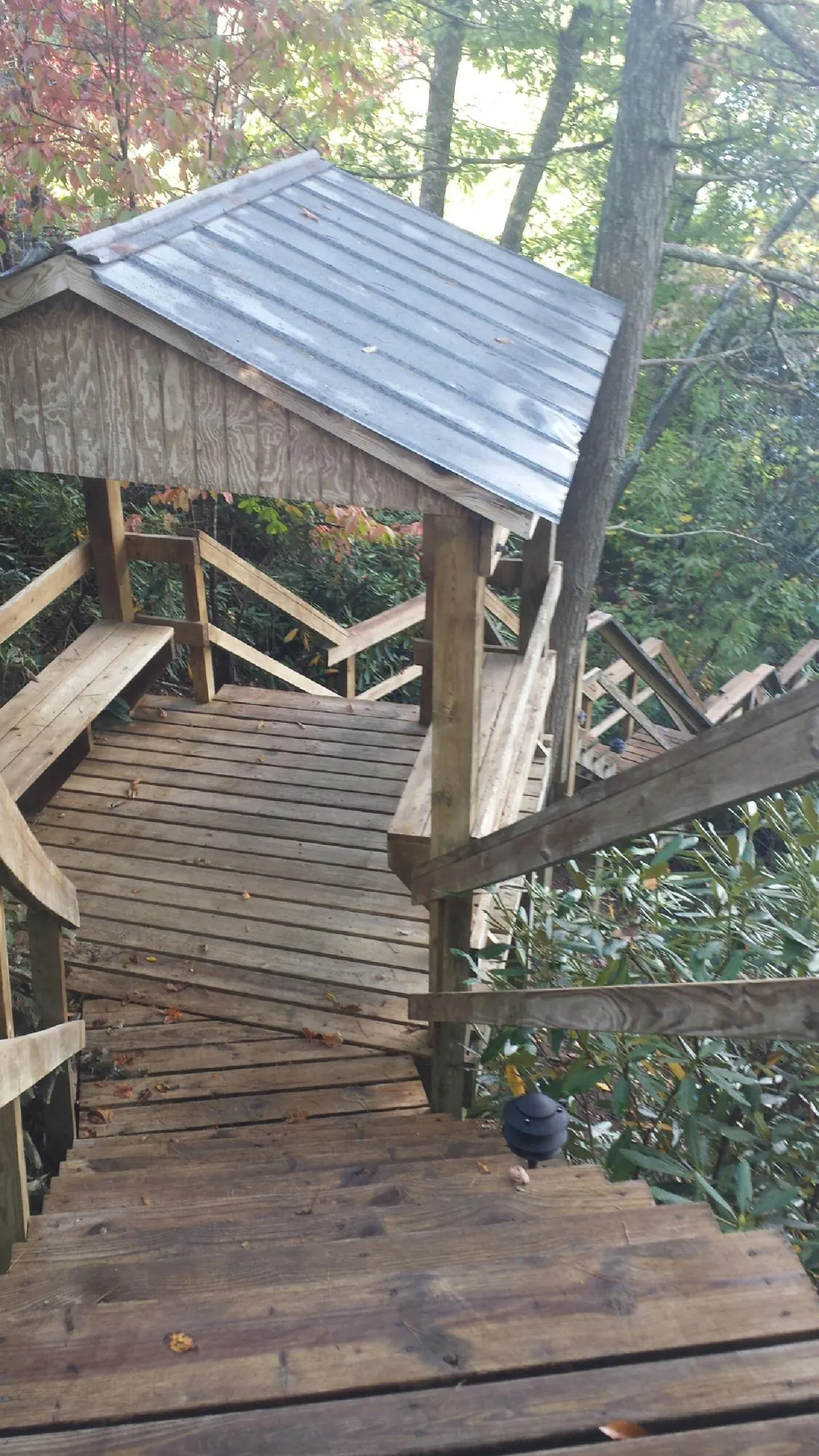 Metal roofed shelter over wooden steps on a wooded walkway — Skylight Repair & Installation work by our crew in Darrington