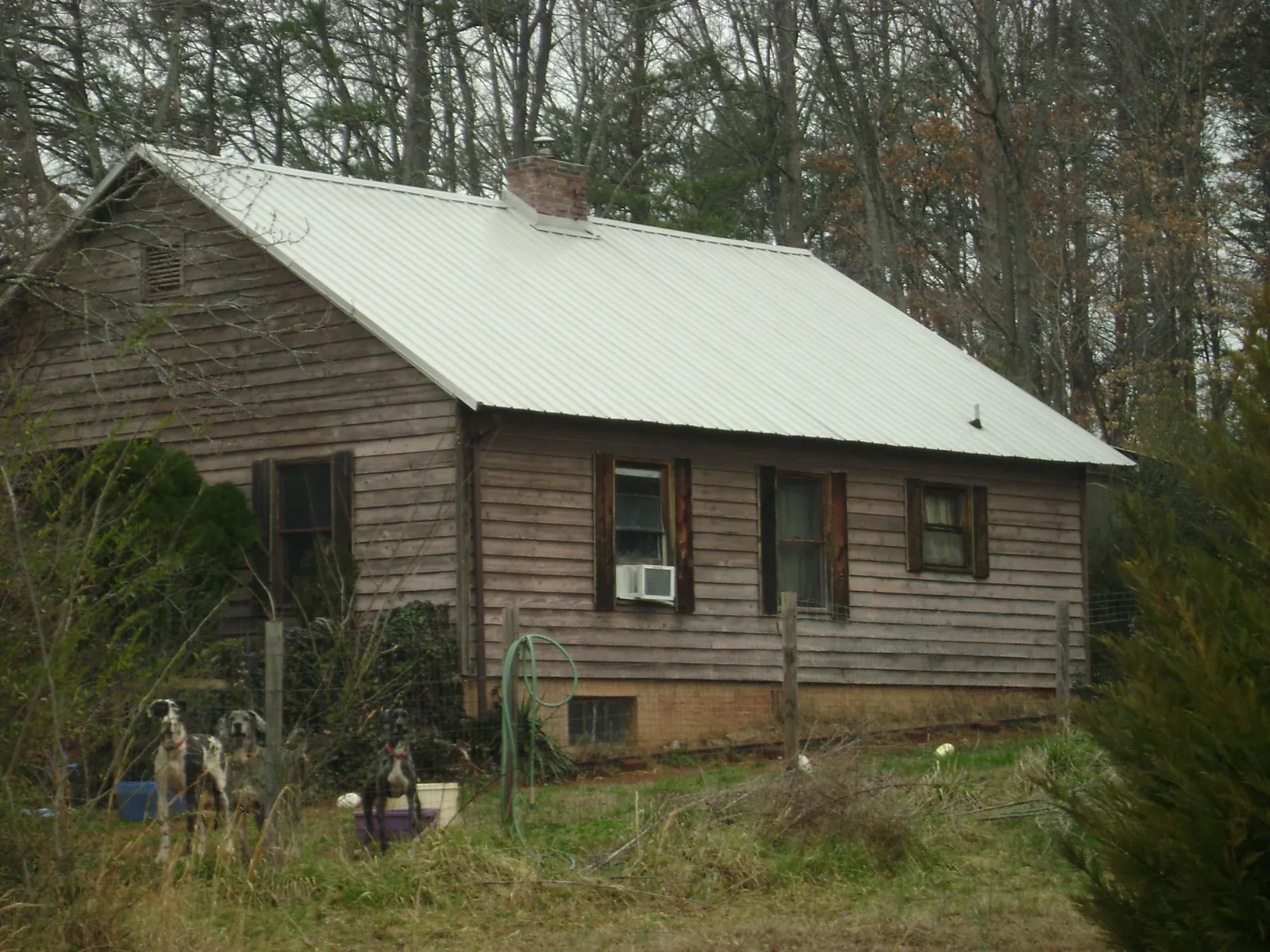 White metal roof on an old wood sided farmhouse, from a Metal Roof Installation job in Darrington